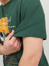 Load image into Gallery viewer, PlusSize JORROXBURY T-Shirt - Trekking Green
