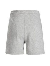 Load image into Gallery viewer, PlusSize JJIBRAT Shorts - Light Grey Melange
