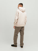 Load image into Gallery viewer, JORVESTERBRO Sweat - Moonbeam

