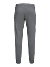 Load image into Gallery viewer, JJIGORDON Pants - Sedona Sage
