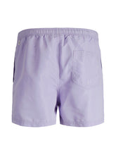 Load image into Gallery viewer, PlusSize JPSTCRETE Swimshorts - Lavender
