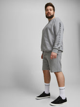 Load image into Gallery viewer, PlusSize JPSTSHARK Shorts - Light Grey Melange
