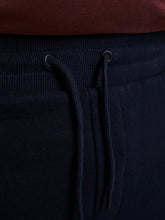 Load image into Gallery viewer, PlusSize JPSTSHARK Shorts - Navy Blazer
