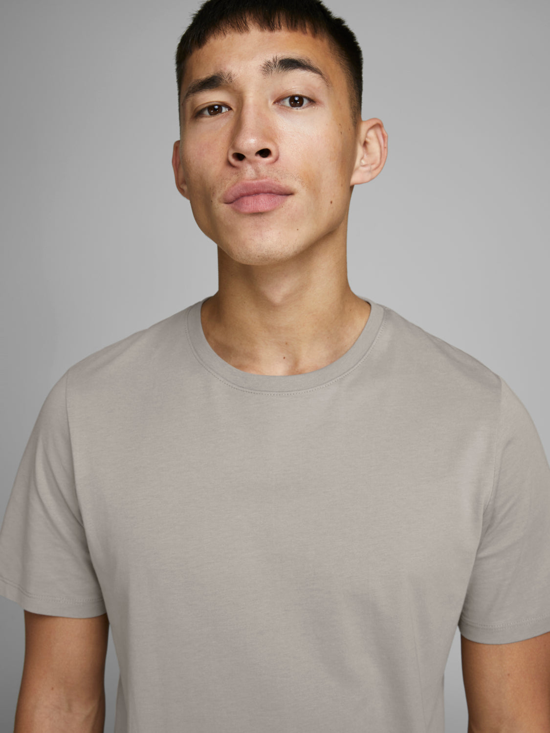 JJEORGANIC T-Shirt - crockery