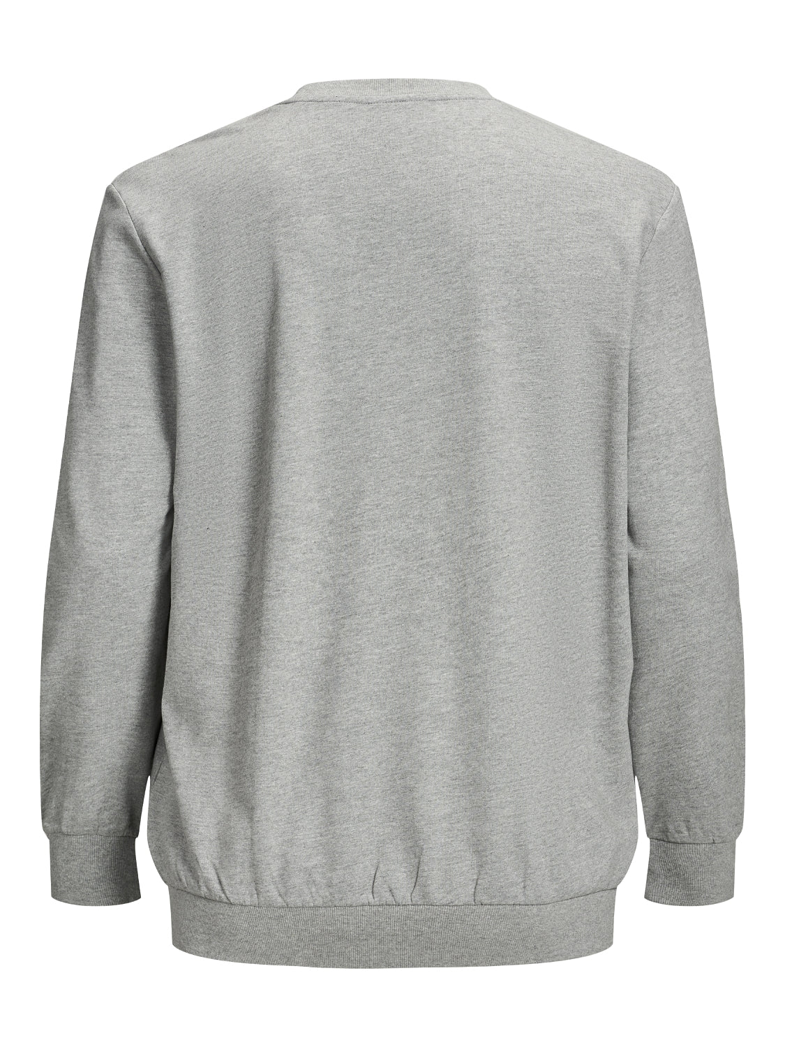 PlusSize JORSHIPLEY Sweat - Light Grey Melange