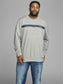 PlusSize JORSHIPLEY Sweat - Light Grey Melange