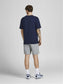 JPSTGORDON Shorts - Light Grey Melange