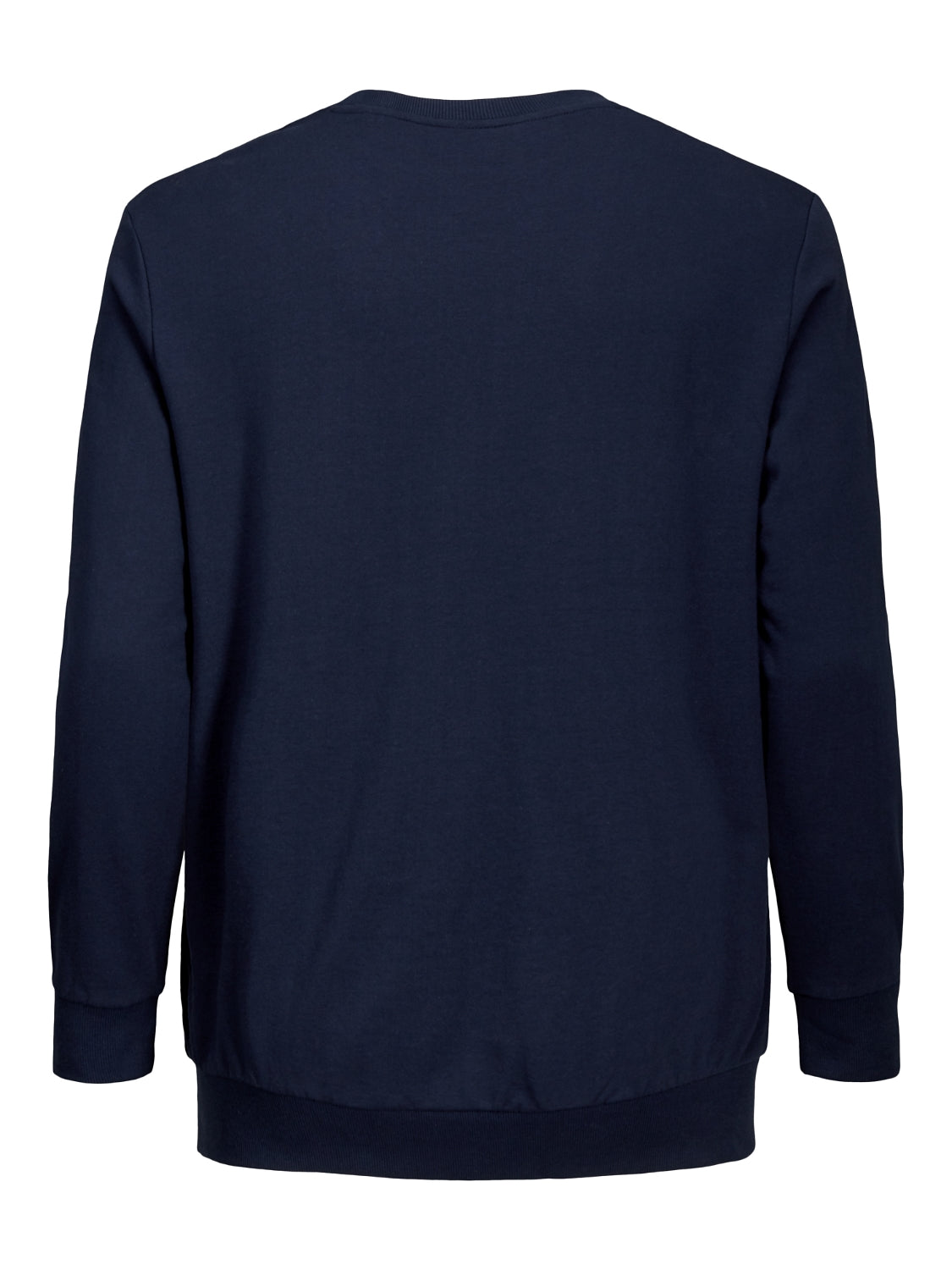 PlusSize JORLANGMORE Sweat - Navy Blazer